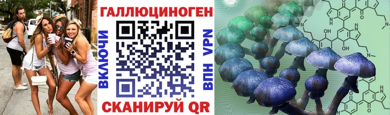наркотики  Севск  Галлюциногенные грибы Cubensis 